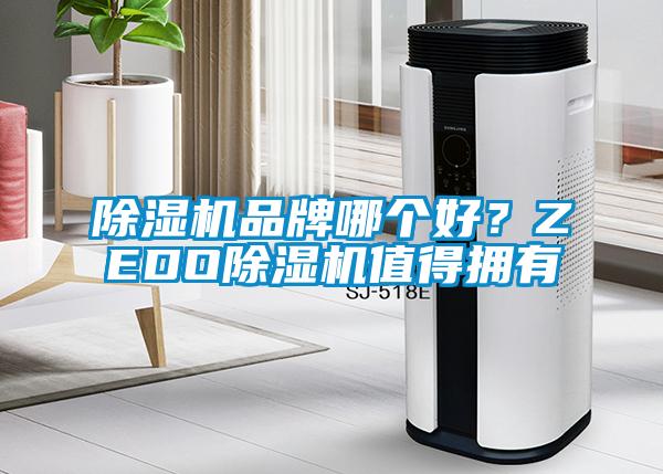 蜜柚直播APP正版下载品牌哪个好？ZEDO蜜柚直播APP正版下载值得拥有