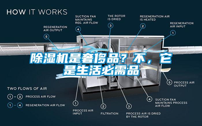 蜜柚直播APP正版下载是奢侈品？不，它是生活必需品