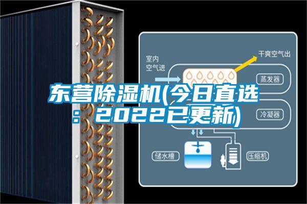 东营蜜柚直播APP正版下载(今日直选：2022已更新)