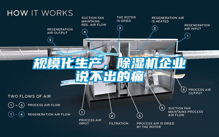 规模化生产，蜜柚直播APP正版下载企业说不出的痛