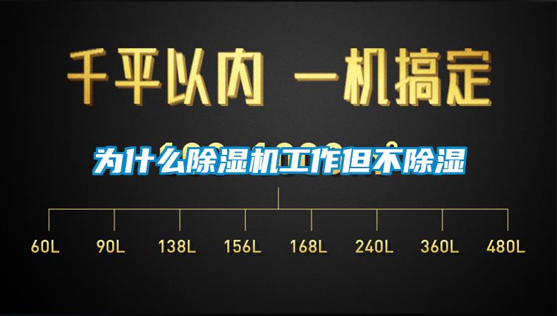 为什么蜜柚直播APP正版下载工作但不除湿