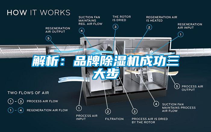 解析：品牌蜜柚直播APP正版下载成功三大步