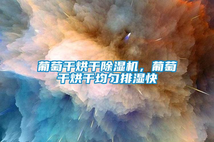 葡萄干烘干蜜柚直播APP正版下载，葡萄干烘干均匀排湿快