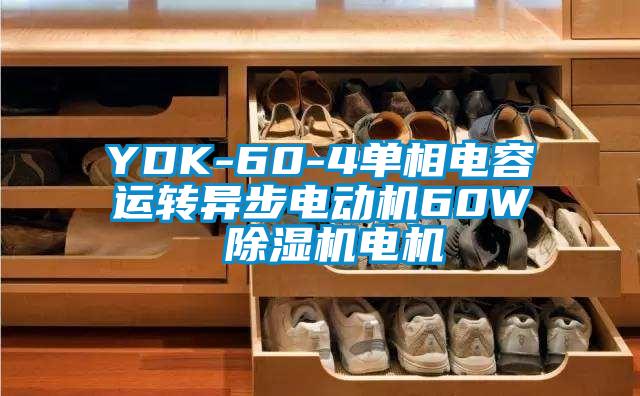 YDK-60-4单相电容运转异步电动机60W 蜜柚直播APP正版下载电机