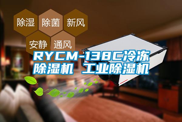 RYCM-138C冷冻蜜柚直播APP正版下载 工业蜜柚直播APP正版下载