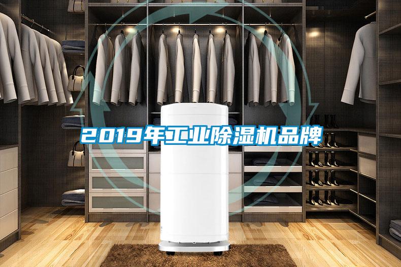 2019年工业蜜柚直播APP正版下载品牌