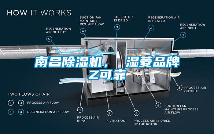 南昌蜜柚直播APP正版下载， 湿菱品牌Z可靠