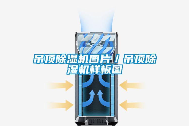 吊顶蜜柚直播APP正版下载图片／吊顶蜜柚直播APP正版下载样板图