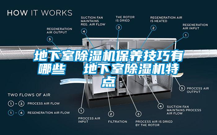 地下室蜜柚直播APP正版下载保养技巧有哪些  地下室蜜柚直播APP正版下载特点