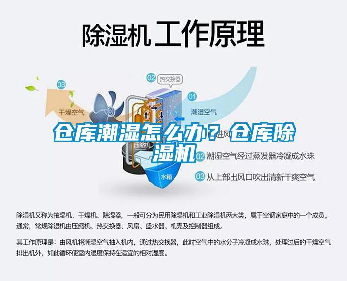 仓库潮湿怎么办？仓库蜜柚直播APP正版下载