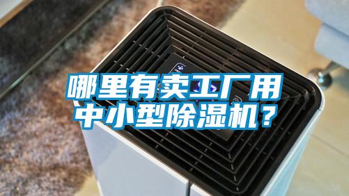 哪里有卖工厂用中小型蜜柚直播APP正版下载？