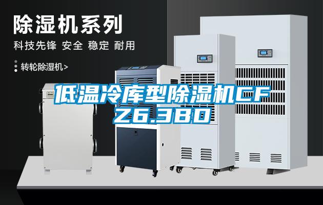 低温冷库型蜜柚直播APP正版下载CFZ6.3BD