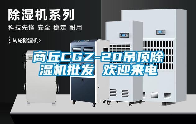 商丘CGZ-20吊顶蜜柚直播APP正版下载批发 欢迎来电