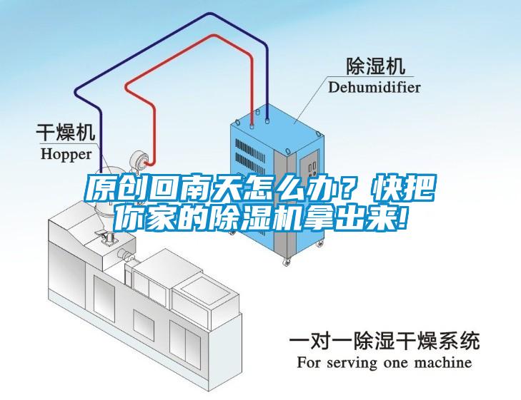 原创回南天怎么办？快把你家的蜜柚直播APP正版下载拿出来!