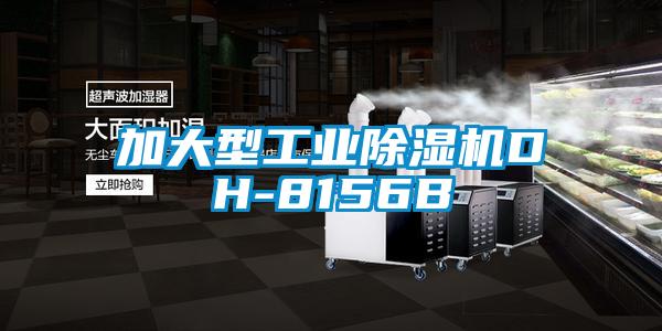 加大型工业蜜柚直播APP正版下载DH-8156B