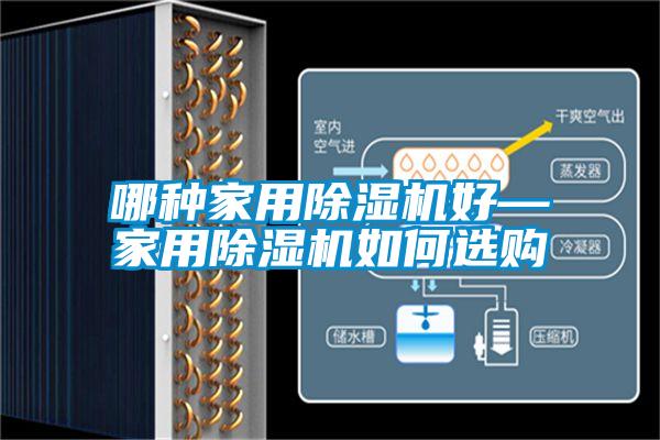 哪种家用蜜柚直播APP正版下载好—家用蜜柚直播APP正版下载如何选购