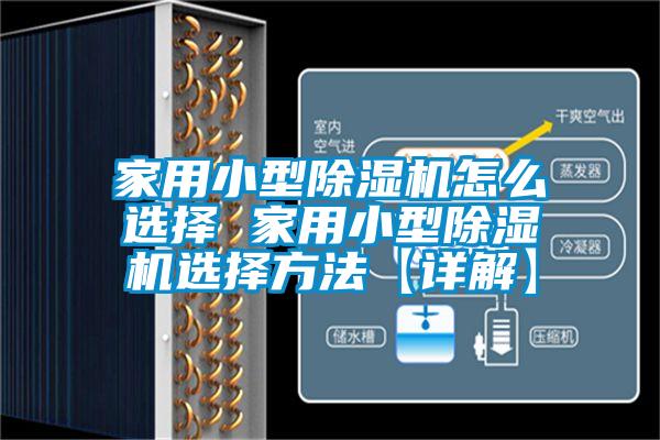 家用小型蜜柚直播APP正版下载怎么选择 家用小型蜜柚直播APP正版下载选择方法【详解】