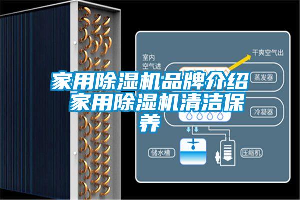 家用蜜柚直播APP正版下载品牌介绍 家用蜜柚直播APP正版下载清洁保养