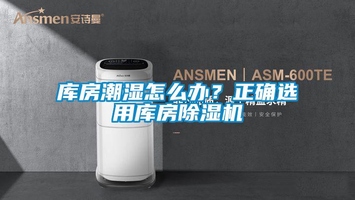 库房潮湿怎么办？正确选用库房蜜柚直播APP正版下载