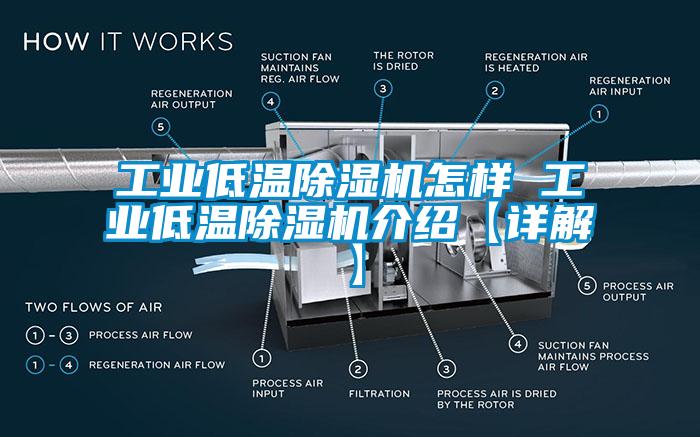 工业低温蜜柚直播APP正版下载怎样 工业低温蜜柚直播APP正版下载介绍【详解】