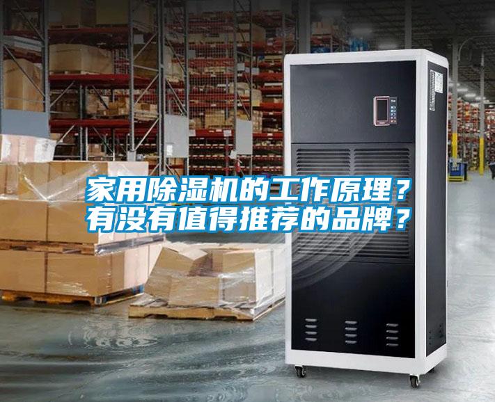 家用蜜柚直播APP正版下载的工作原理？有没有值得推荐的品牌？