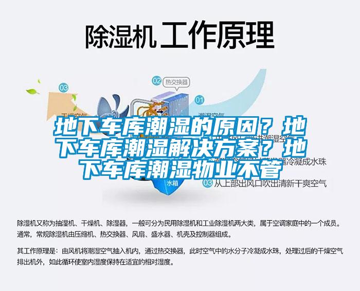 地下车库潮湿的原因？地下车库潮湿蜜柚直播APP下载平台？地下车库潮湿物业不管