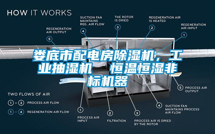 娄底市配电房蜜柚直播APP正版下载，工业抽湿机  恒温恒湿非标机器