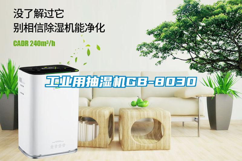 工业用抽湿机GB-8030