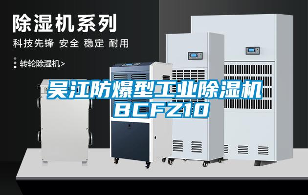 吴江防爆型工业蜜柚直播APP正版下载 BCFZ10