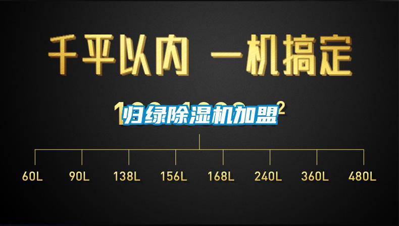 归绿蜜柚直播APP正版下载加盟