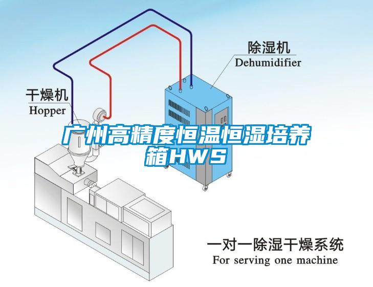 广州高精度恒温恒湿培养箱HWS