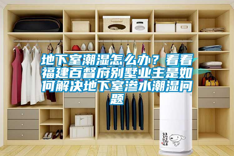 地下室潮湿怎么办？看看福建百督府别墅业主是如何解决地下室渗水潮湿问题