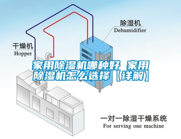 家用蜜柚直播APP正版下载哪种好 家用蜜柚直播APP正版下载怎么选择【详解】