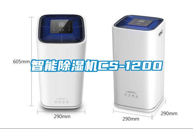 智能蜜柚直播APP正版下载CS-1200