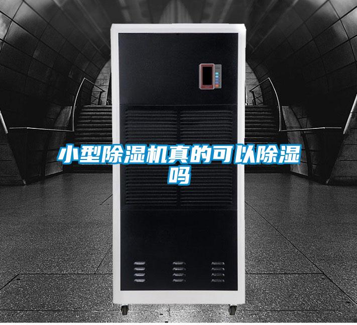 小型蜜柚直播APP正版下载真的可以除湿吗