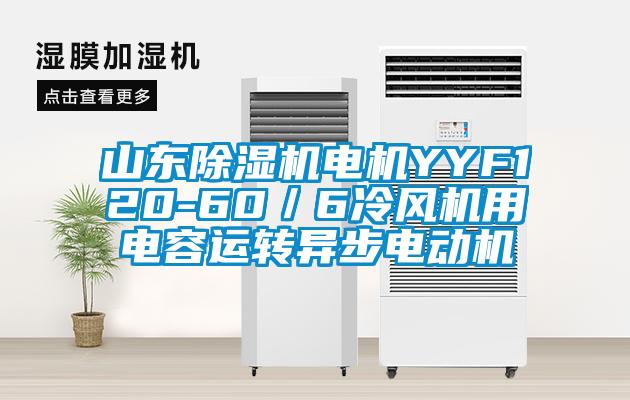 山东蜜柚直播APP正版下载电机YYF120-60／6冷风机用电容运转异步电动机