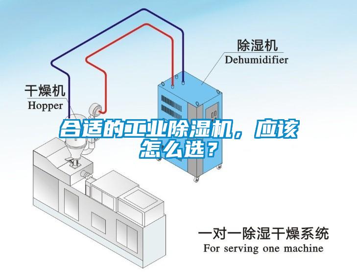 合适的工业蜜柚直播APP正版下载，应该怎么选？