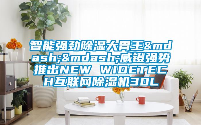 智能强劲除湿大胃王——威镫强势推出NEW WIDETECH互联网蜜柚直播APP正版下载30L