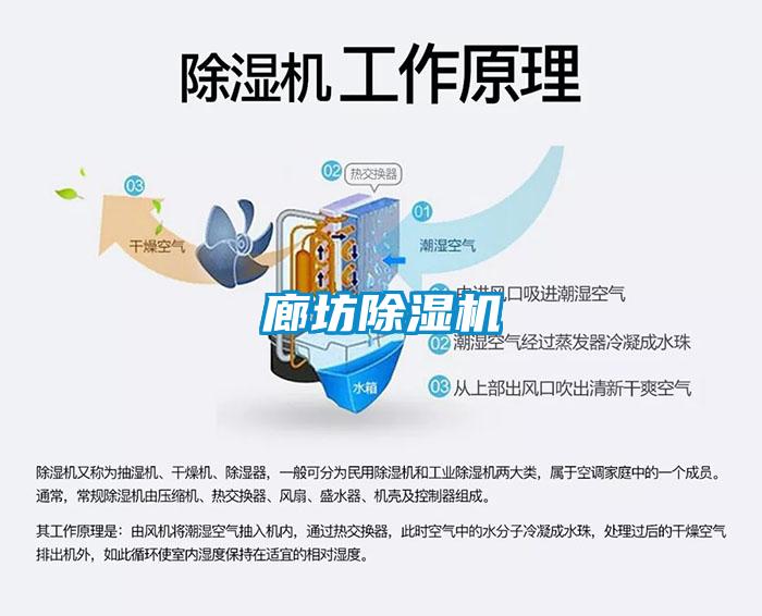 廊坊蜜柚直播APP正版下载