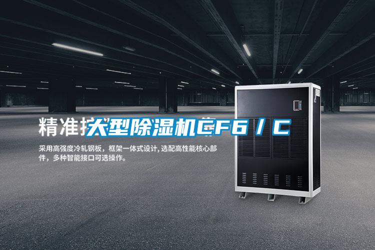 大型蜜柚直播APP正版下载CF6／C