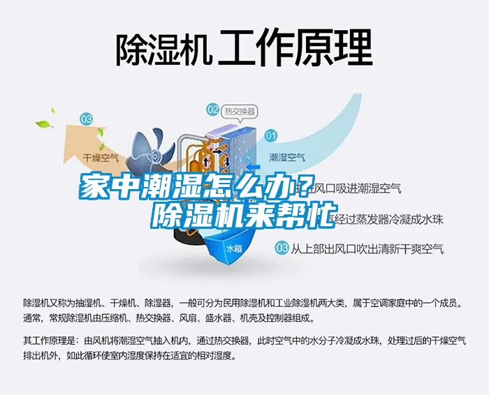 家中潮湿怎么办？    蜜柚直播APP正版下载来帮忙