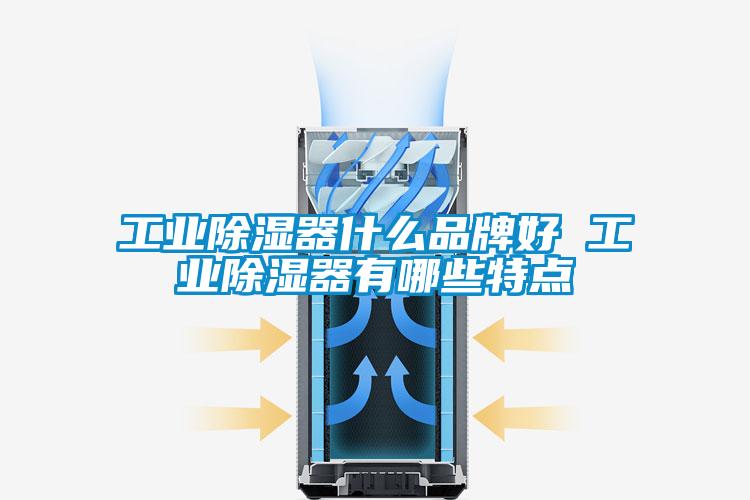 工业除湿器什么品牌好 工业除湿器有哪些特点