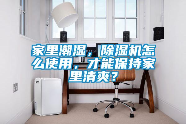 家里潮湿，蜜柚直播APP正版下载怎么使用，才能保持家里清爽？