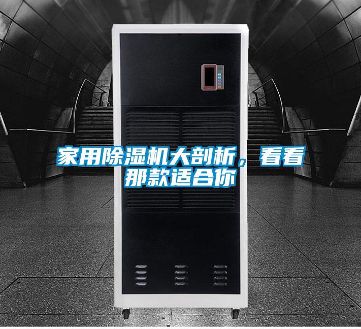 家用蜜柚直播APP正版下载大剖析，看看那款适合你