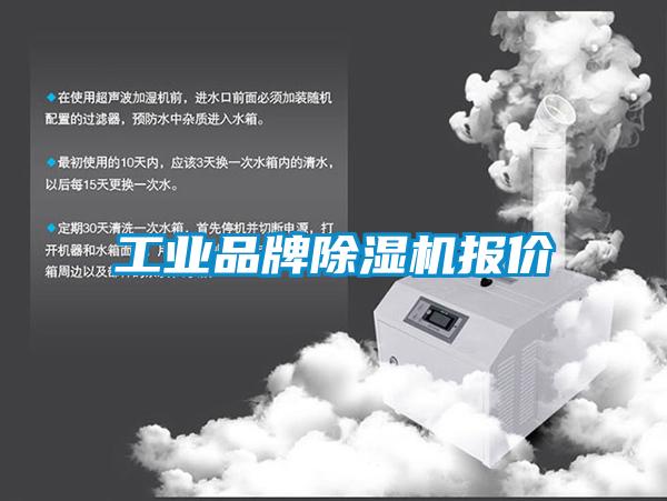 工业品牌蜜柚直播APP正版下载报价