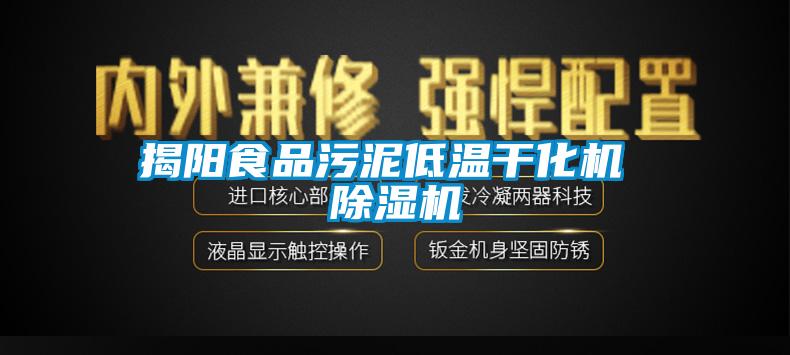 揭阳食品污泥低温干化机 蜜柚直播APP正版下载