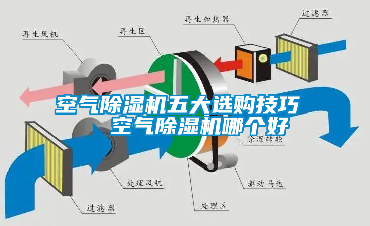 空气蜜柚直播APP正版下载五大选购技巧   空气蜜柚直播APP正版下载哪个好