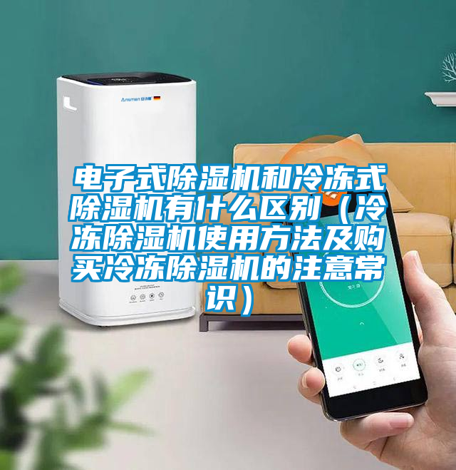 电子式蜜柚直播APP正版下载和冷冻式蜜柚直播APP正版下载有什么区别（冷冻蜜柚直播APP正版下载使用方法及购买冷冻蜜柚直播APP正版下载的注意常识）