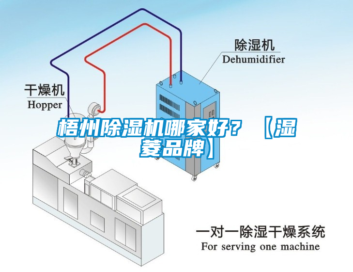 梧州蜜柚直播APP正版下载哪家好？【湿菱品牌】