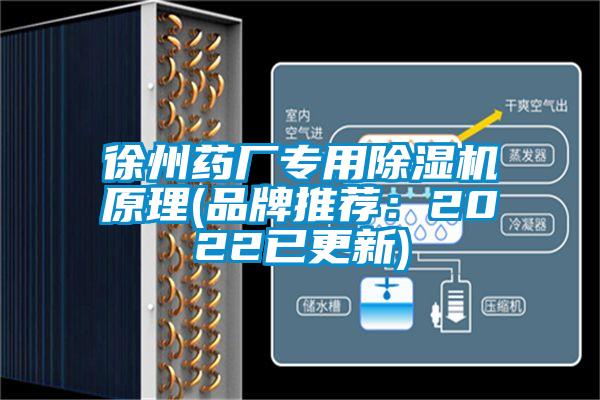 徐州药厂专用蜜柚直播APP正版下载原理(品牌推荐：2022已更新)